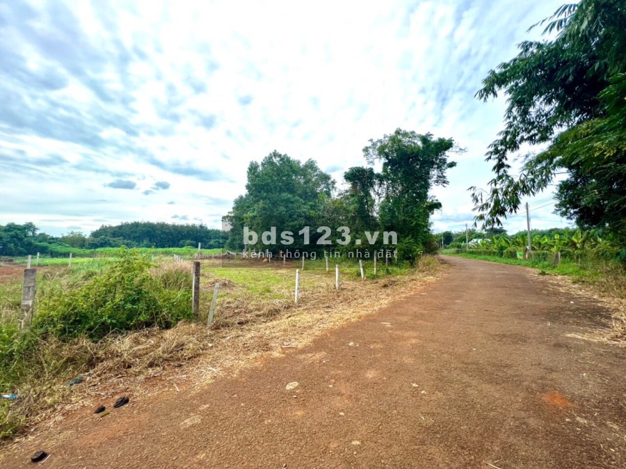 Bán đất chính chủ thành phố Bà Rịa, giá 8,6triệu/m2. Đất phủ hồng, QH đất ở
