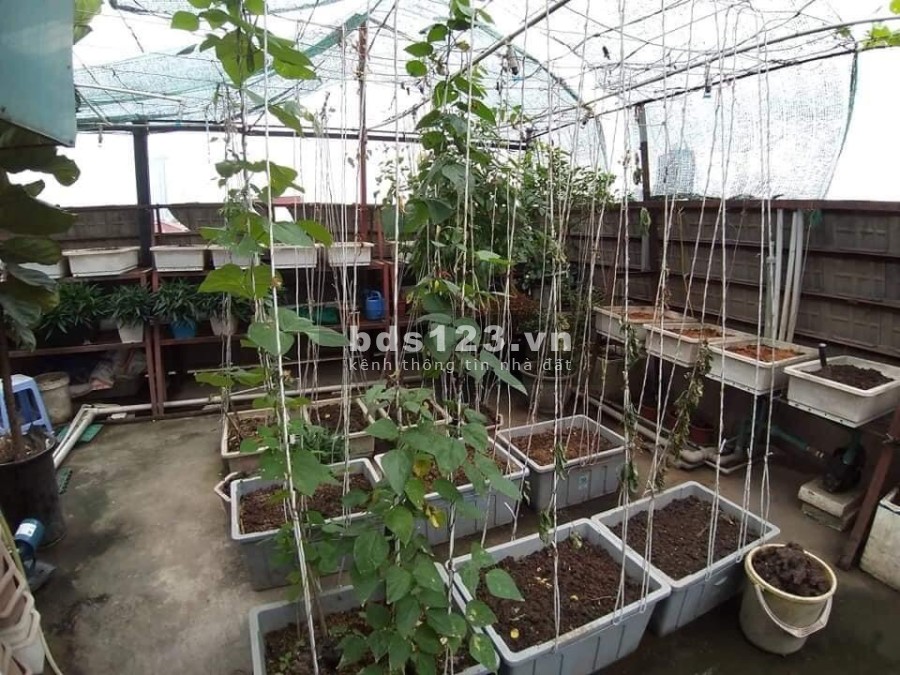 Bán nhà phố Đào Tấn kinh doanh dòng tiền hơn 100 triệu thang máy, diện tích 90m2, giá 23.6 tỷ