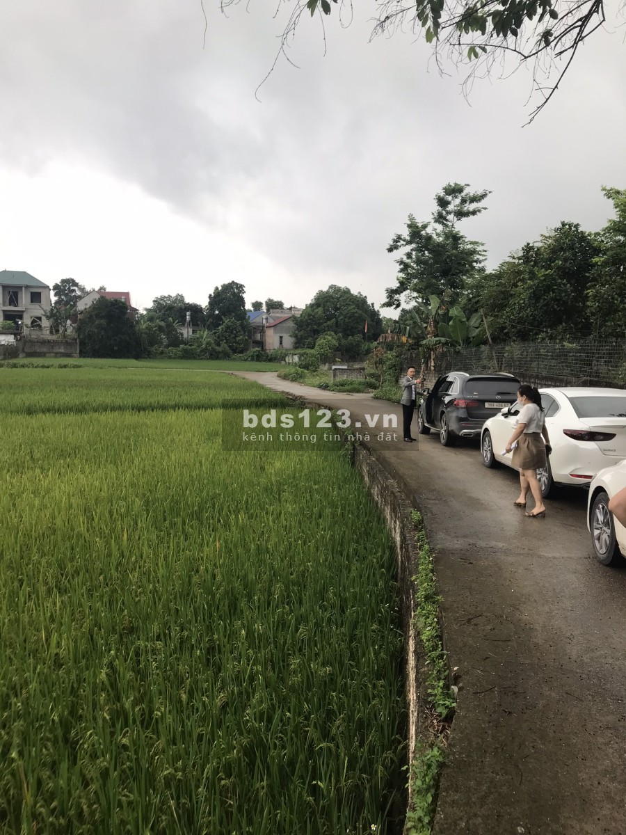 Bán đất thổ cư ven khu công nghiệp khu vực huyện Hiệp Hòa ( 50 sổ)