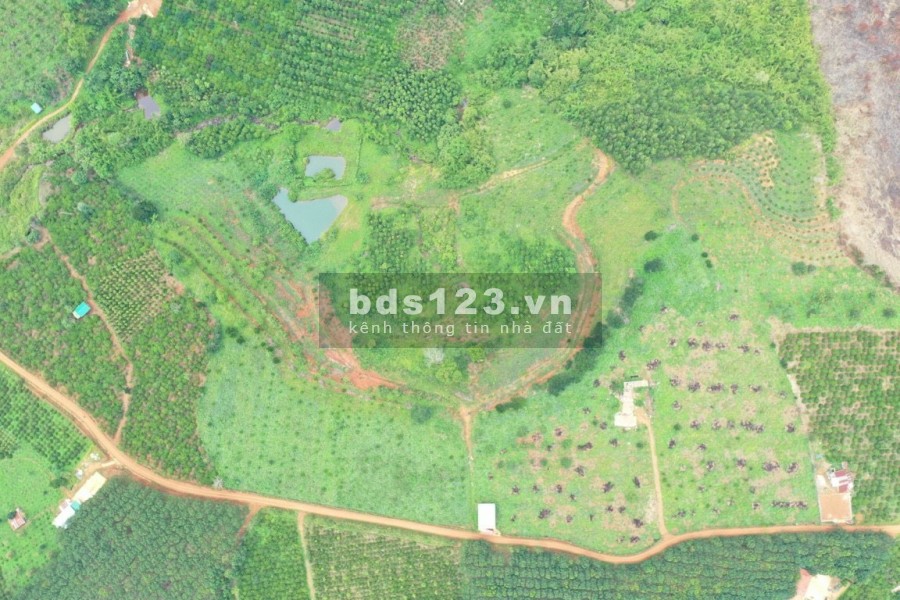 370 triệu sở hữu ngay lô đất nền 1000m2 đất nền Dak Nông, giá tốt đầu tư sinh lời