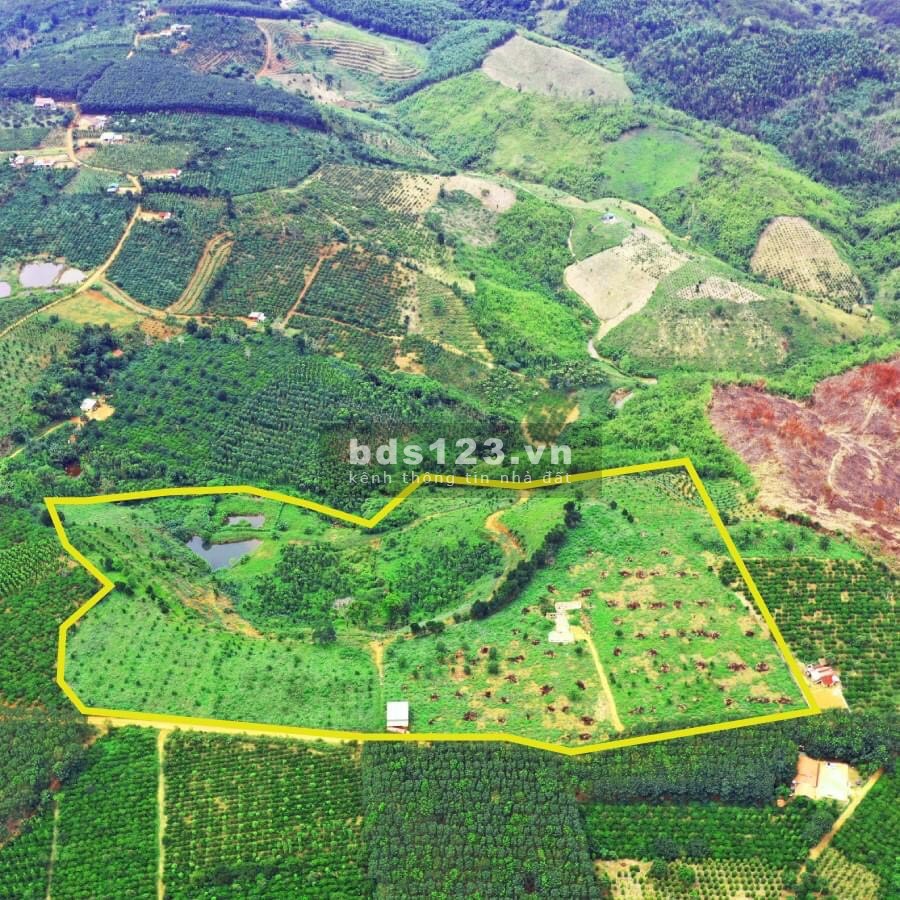 370 triệu sở hữu ngay lô đất nền 1000m2 đất nền Dak Nông, giá tốt đầu tư sinh lời