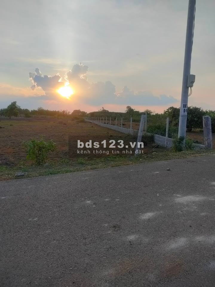 Gia đình kẹt tiền cần bán đất diện tích 1000m2, đất ngay trung tâm Đông Phú, lh 07026 09195