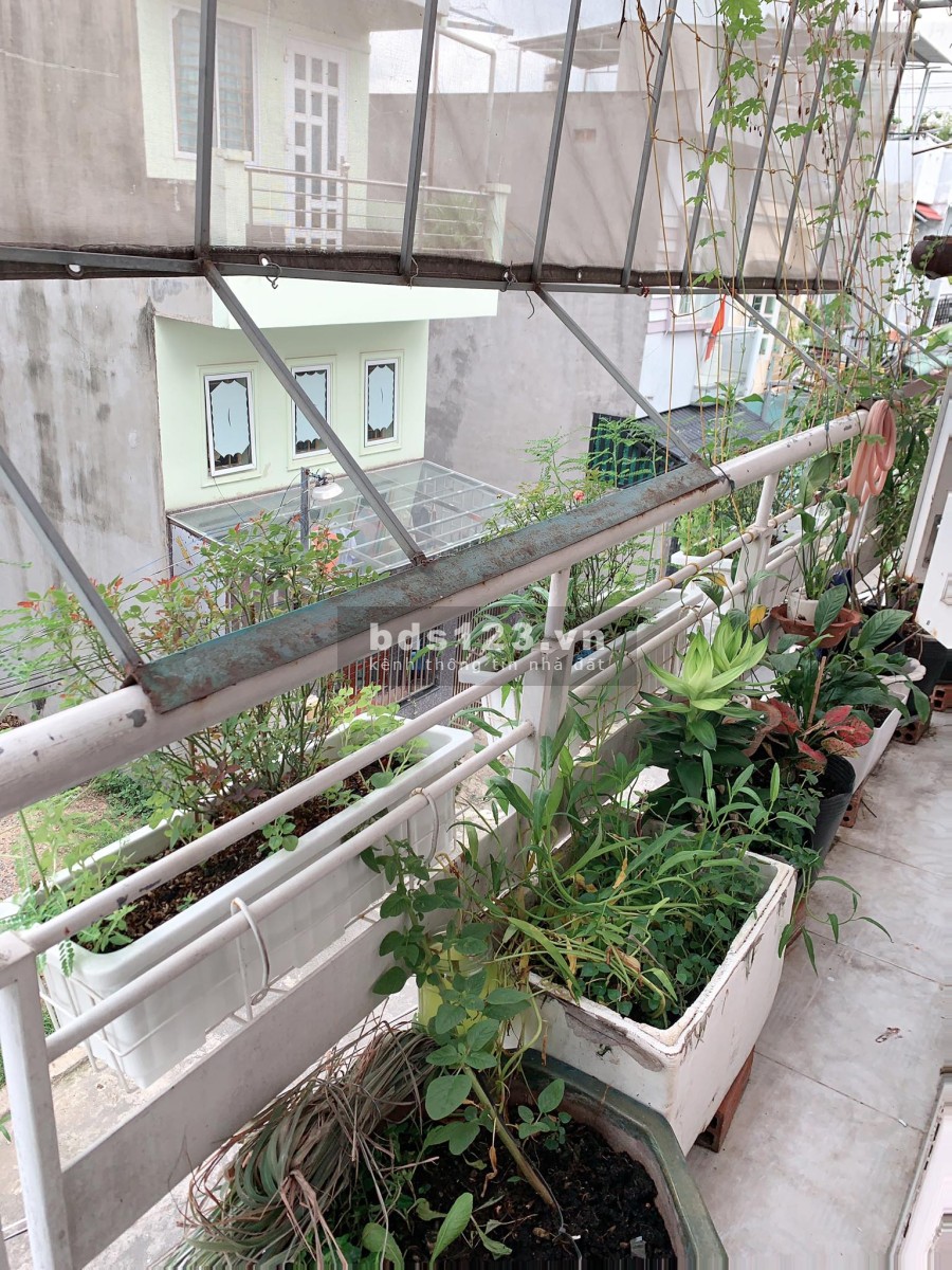 Hẻm xe hơi 6m ô tô đậu cổng 3 tầng 6 pn, giá chỉ 6 tỷ, vừa ở vừa có dòng tiền, khu dân cư