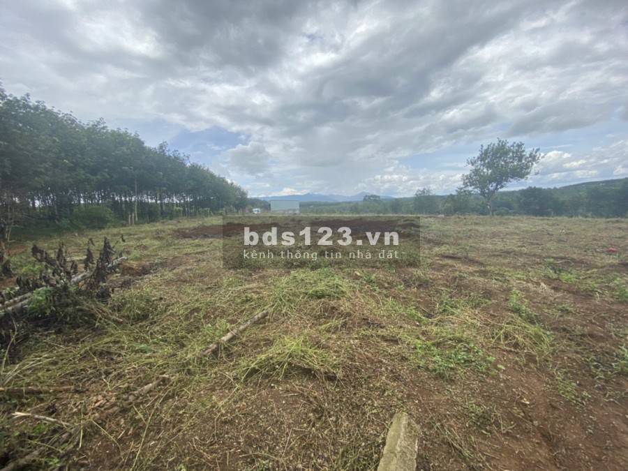 370 triệu sở hữu ngay lô đất nền 1000m2 đất nền Dak Nông, giá tốt đầu tư sinh lời