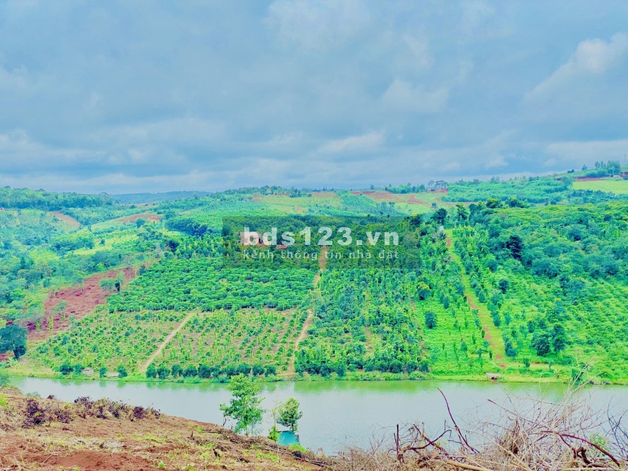 370 triệu sở hữu ngay lô đất nền 1000m2 đất nền Dak Nông, giá tốt đầu tư sinh lời