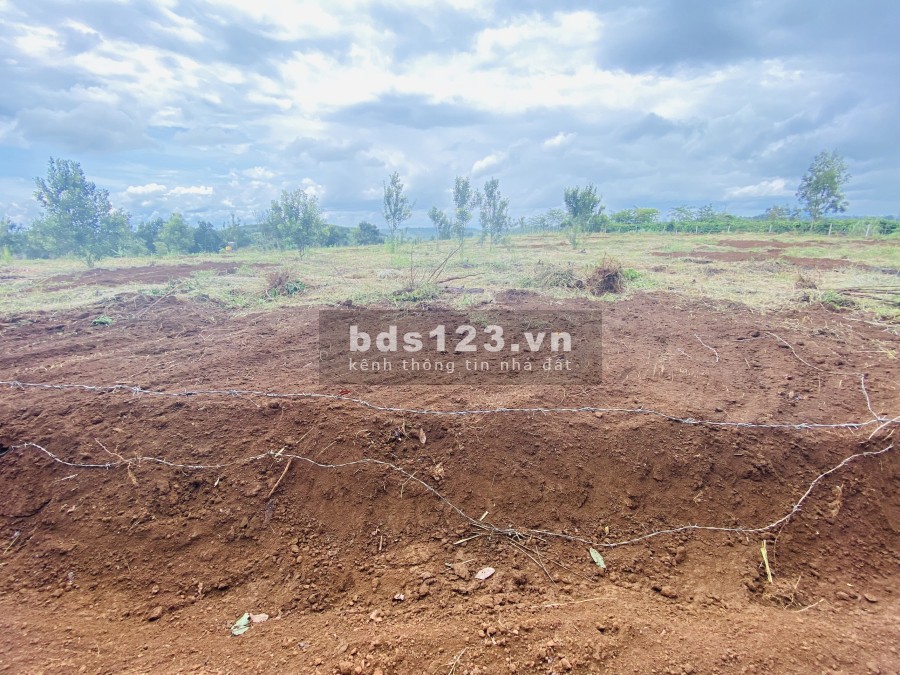 370 triệu sở hữu ngay lô đất nền 1000m2 đất nền Dak Nông, giá tốt đầu tư sinh lời