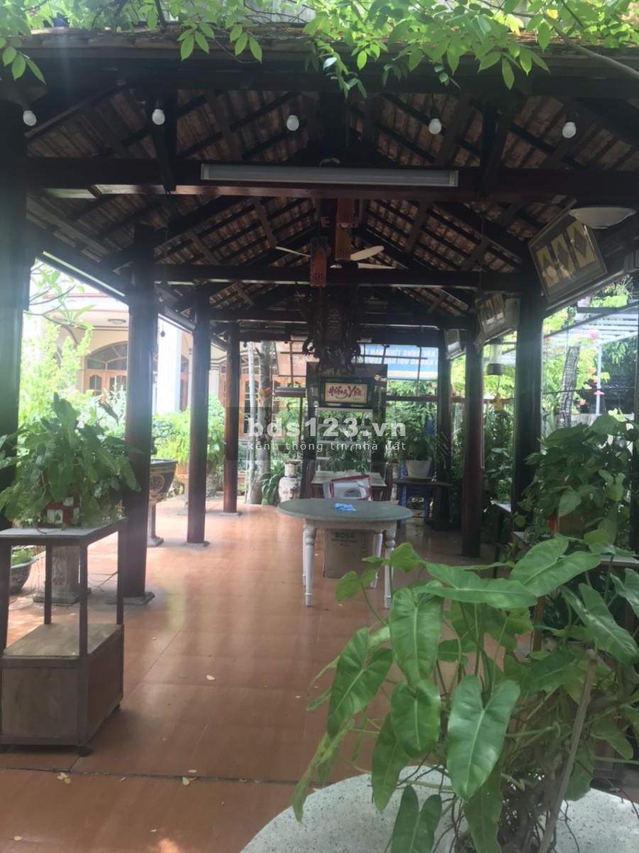 Cho thuê biệt thự sân vườn diện tích siêu lớn gần trường Cao Đẳng Du Lịch giá 50 triệu/tháng
