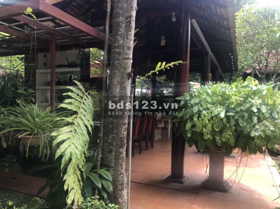 Cho thuê biệt thự sân vườn diện tích siêu lớn gần trường Cao Đẳng Du Lịch giá 50 triệu/tháng