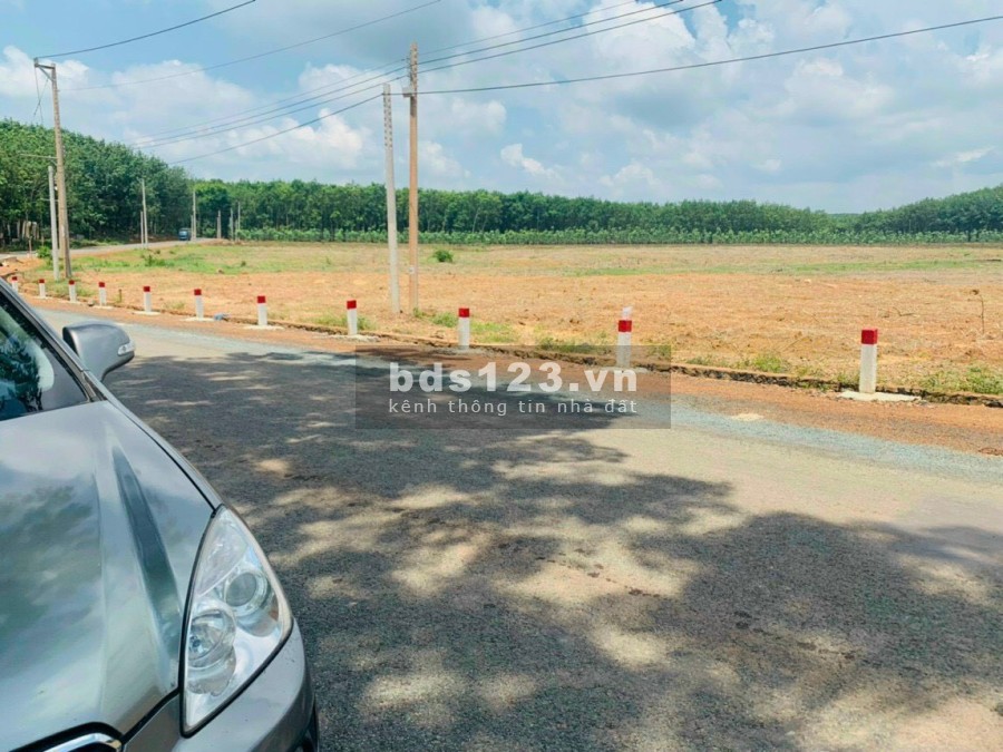Bán gấp 28 nền F0 mặt tiên Liên Xã QH 29m Ngay tuyến QH Hồ Chí Minh 70m Thuộc Thuận Lợi - Đồng Phú