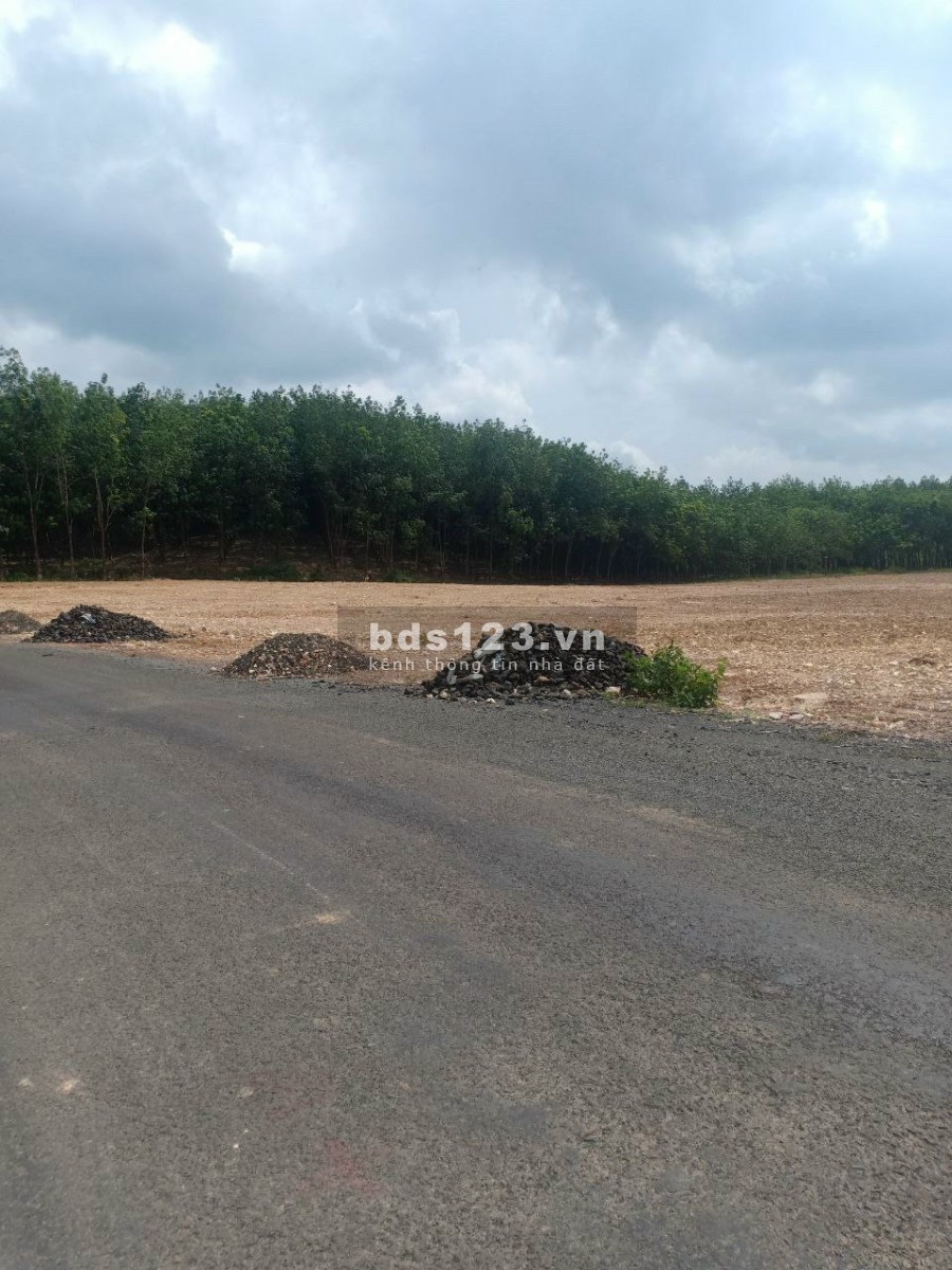 Bán gấp 28 nền F0 mặt tiên Liên Xã QH 29m Ngay tuyến QH Hồ Chí Minh 70m Thuộc Thuận Lợi - Đồng Phú