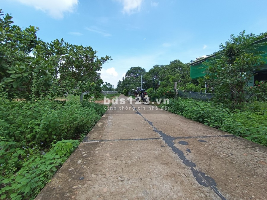 Bán 1 sào Phú Hồng gần khu công nghiệp Becamex Sơn Mỹ giá đầu tư, hỗ trợ pháp lý