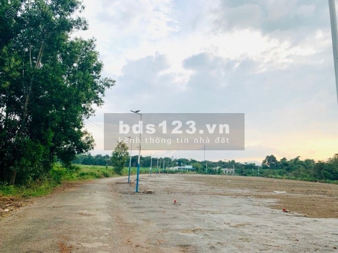 Bán đất Sông Xoài, giá chỉ 6,9tr/m2, Cách vòng xoay Hắc Dịch chỉ 2,5km