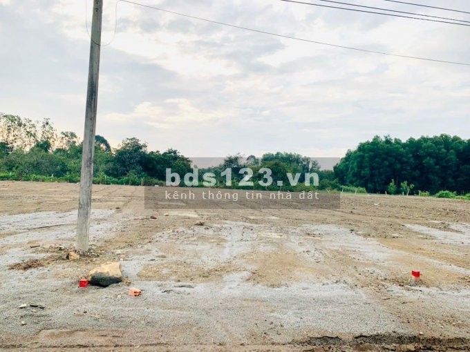Bán đất Sông Xoài, giá chỉ 6,9tr/m2, Cách vòng xoay Hắc Dịch chỉ 2,5km