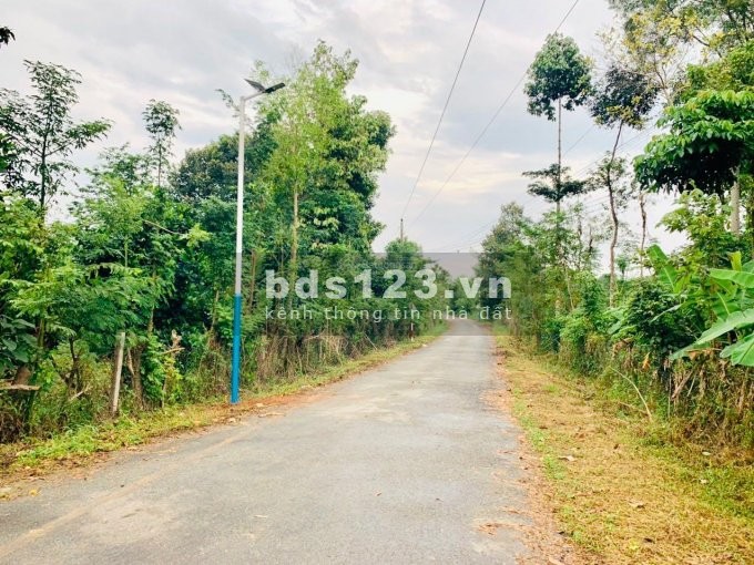 Bán đất Sông Xoài, giá chỉ 6,9tr/m2, Cách vòng xoay Hắc Dịch chỉ 2,5km