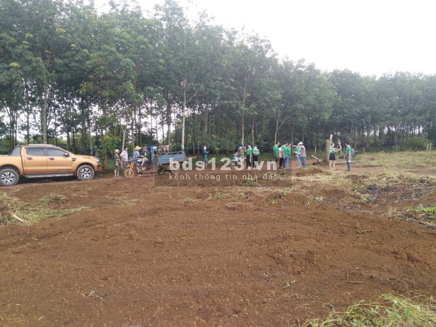 100 ngàn trên 1m2, đất Quảng Sơn tỉnh Dak Nông, liên hệ 0935213526 sổ riêng chính chủ