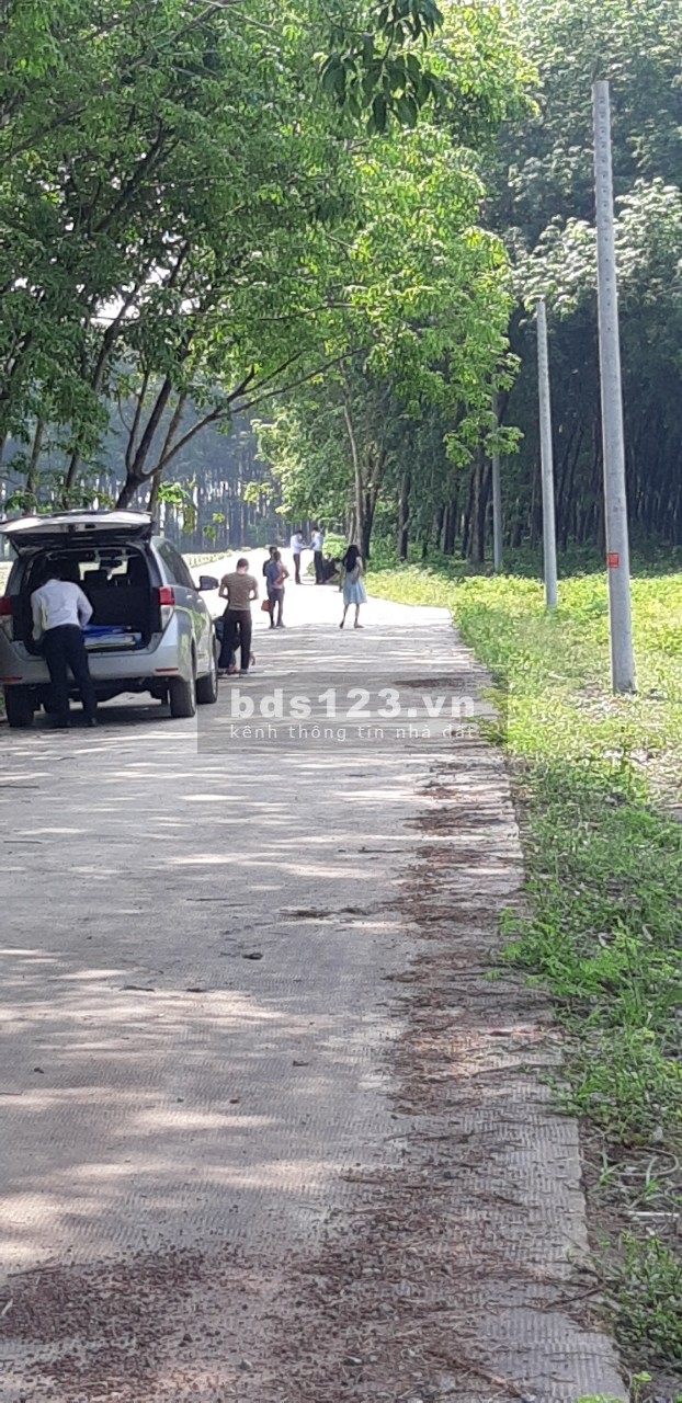 Sổ sẵn, pháp lý rõ ràng, sang tên công chứng trong ngày giá tốt đầu tư, ngân hàng hỗ trợ vay
