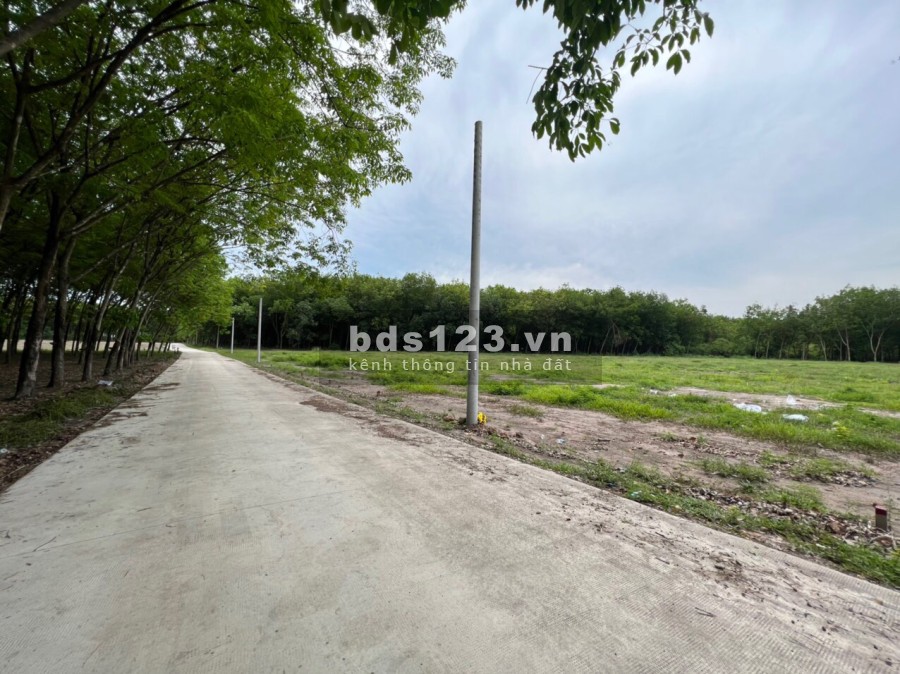 Sổ sẵn, pháp lý rõ ràng, sang tên công chứng trong ngày giá tốt đầu tư, ngân hàng hỗ trợ vay