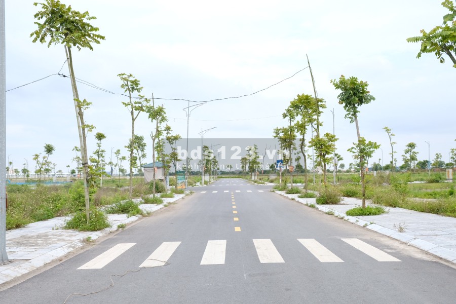 Bán đất đối diện bệnh viện Huyện ngày trung tâm thị trấn Tiền Hải, đã có sổ đỏ từng lô