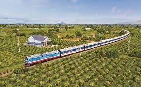 Bán đất vườn khu vực Bình Thuận giá rẻ cho các nhà đầu tư, sổ có sẵn, đường vào rộng