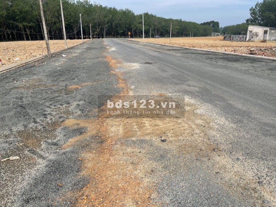 Chính chủ gửi bán lô đất mặt tiền Liên Xã QH 32m Thuận Lợi - Đồng Phú liên hệ 0357842518