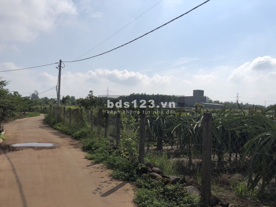 Không có thời gian nên nhượng lại miếng vườn cho anh chị cần thuộc huyện Trảng Bom