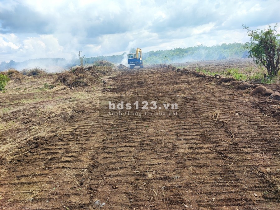 Không có thời gian nên nhượng lại miếng vườn cho anh chị cần thuộc huyện Trảng Bom