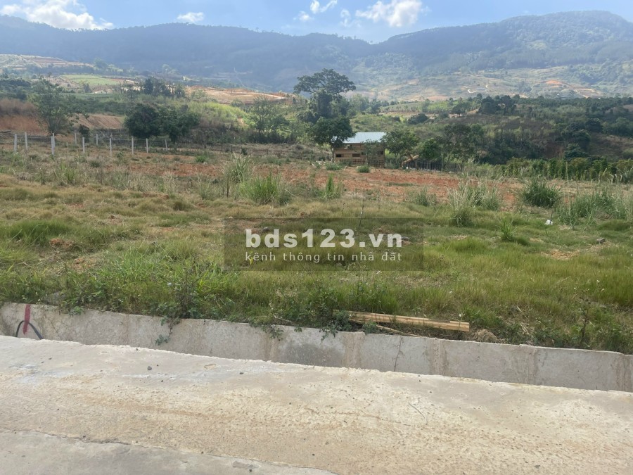Bán gấp 353m2, có 100m2 thổ cư ở thôn tầm xá - Đông Thanh