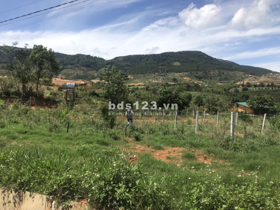 Bán gấp 353m2, có 100m2 thổ cư ở thôn tầm xá - Đông Thanh