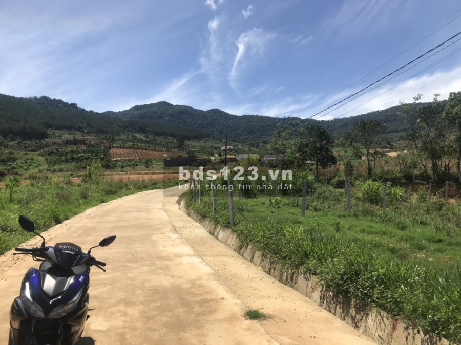 Bán gấp 353m2, có 100m2 thổ cư ở thôn tầm xá - Đông Thanh