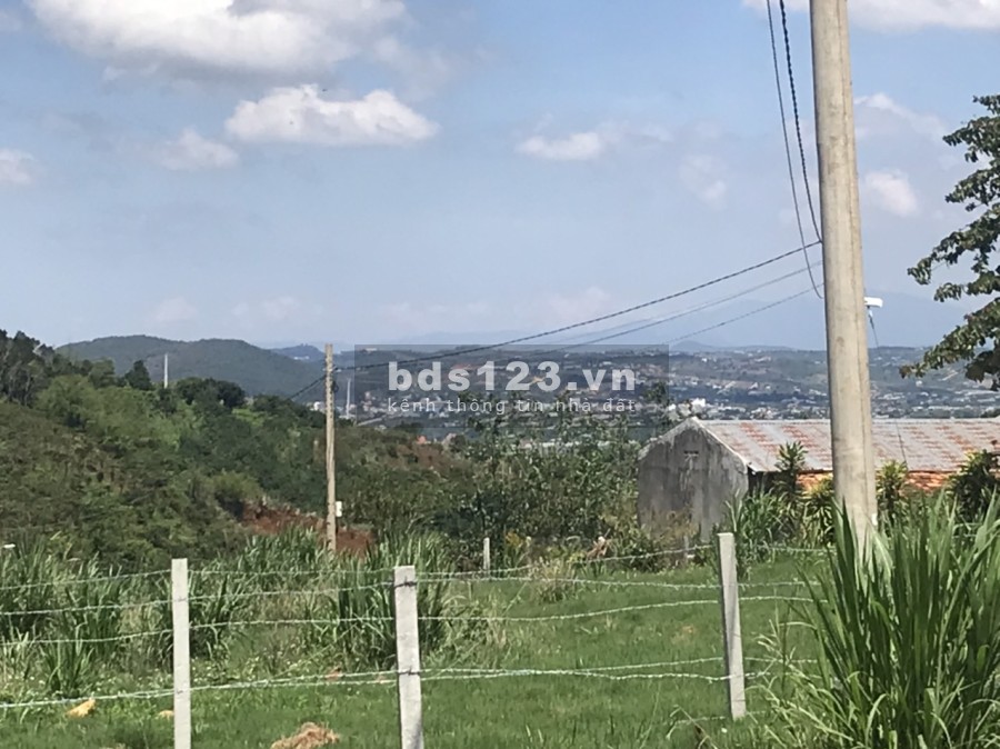Bán gấp 353m2, có 100m2 thổ cư ở thôn tầm xá - Đông Thanh
