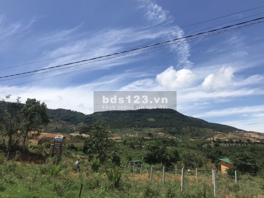 Bán gấp 353m2, có 100m2 thổ cư ở thôn tầm xá - Đông Thanh