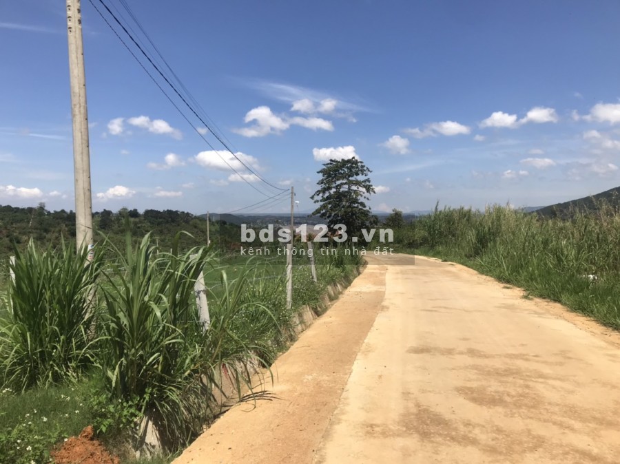 Bán gấp 353m2, có 100m2 thổ cư ở thôn tầm xá - Đông Thanh