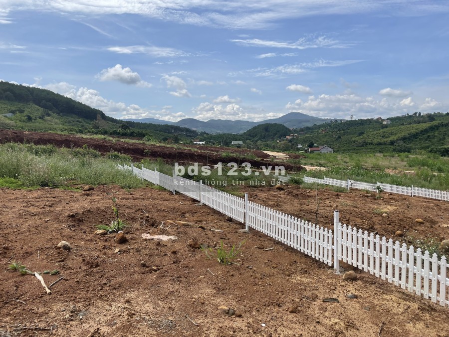 Cần Bán 1,1sao (1046m2),Bao 200m2 TC ở Nam Hà, vị trí đất đẹp giàu tiềm năng