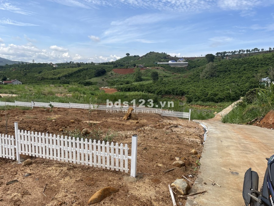 Cần Bán 1,1sao (1046m2),Bao 200m2 TC ở Nam Hà, vị trí đất đẹp giàu tiềm năng