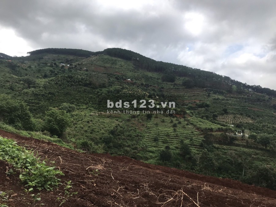 Bán Nhanh 650m2 Đất Tặng View Toàn TT Nam Ban giá đầu tư, bớt lộc cho khách thiện chí