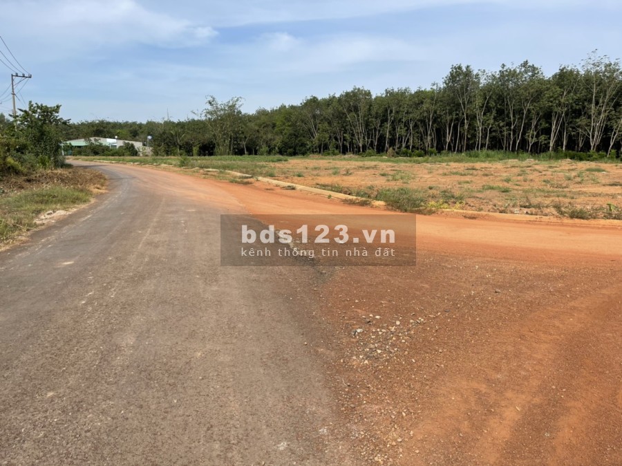 chính chủ gửi bán gần 2 sào Ngay TTHC Tân Hưng - Đồng Phú có 100m2 Thổ cư
