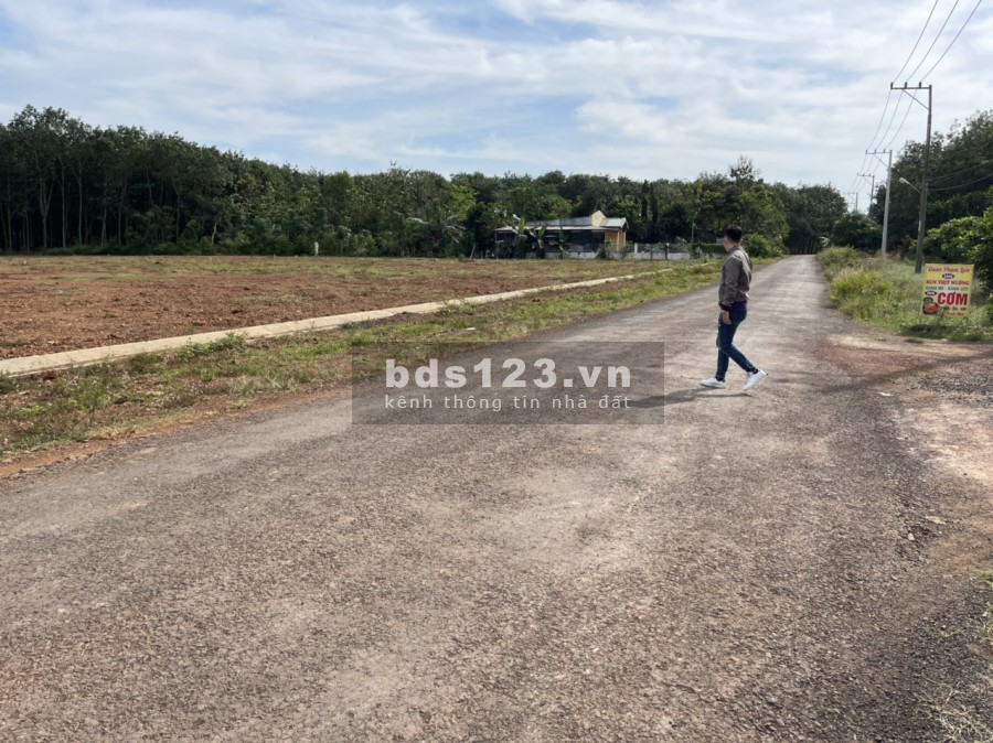 chính chủ gửi bán gần 2 sào Ngay TTHC Tân Hưng - Đồng Phú có 100m2 Thổ cư