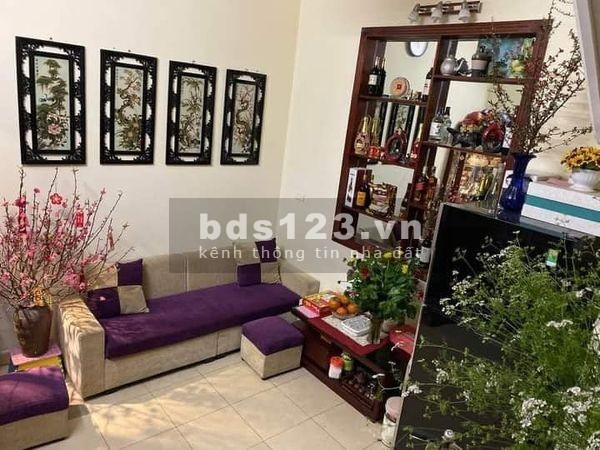 Vô cùng cần bán nhanh sang nước ngoài, nhà Hoàng Như Tiếp 44m2, 2,6 tỷ