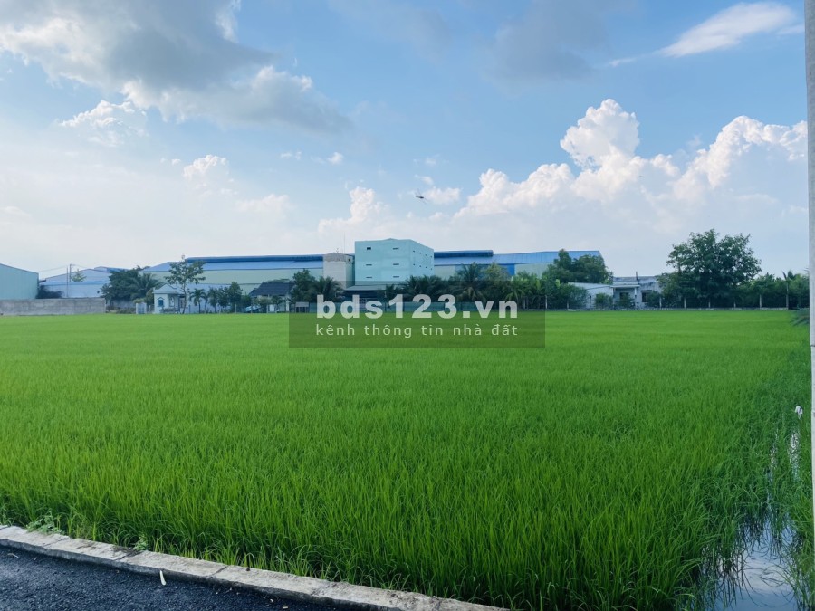 Bán đất thổ cư gần khu đân cư đông đúc ấp 2, xã Long Khê, Cần Đước, tỉnh Long An, LH 0566666688