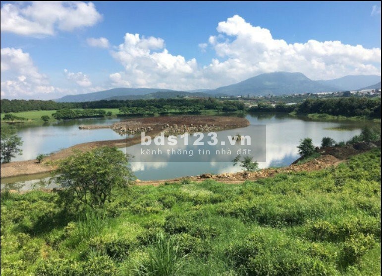 Dalat Pearl - Viên ngọc bên sông Đa Nhim và hồ sinh thái Dalat Milk