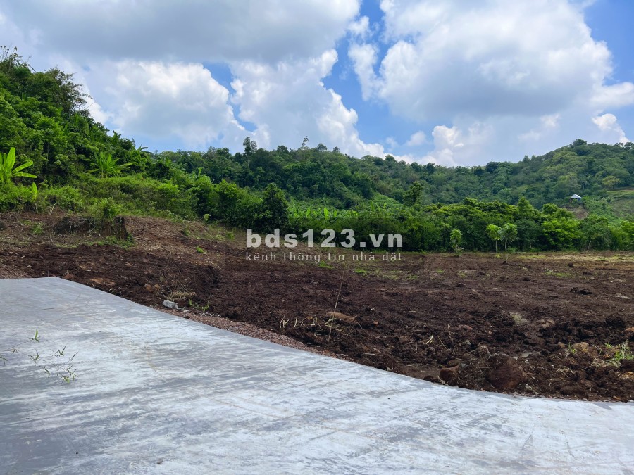 Đất vườn Phủ Hồng ngay thành phố Long Khánh, Đồng Nai, giá…