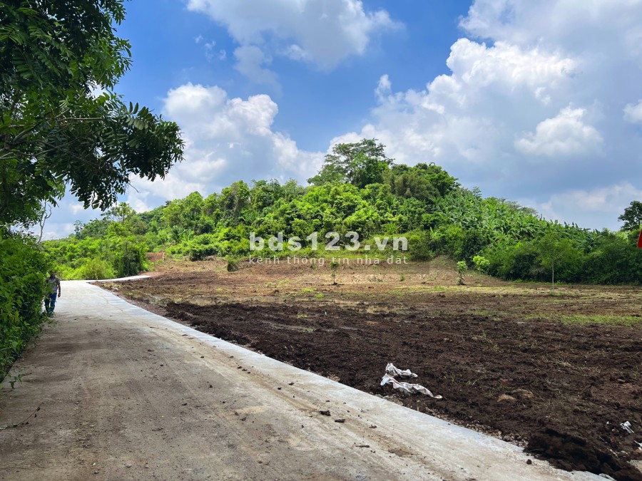 Đất vườn Phủ Hồng ngay thành phố Long Khánh, Đồng Nai, giá…