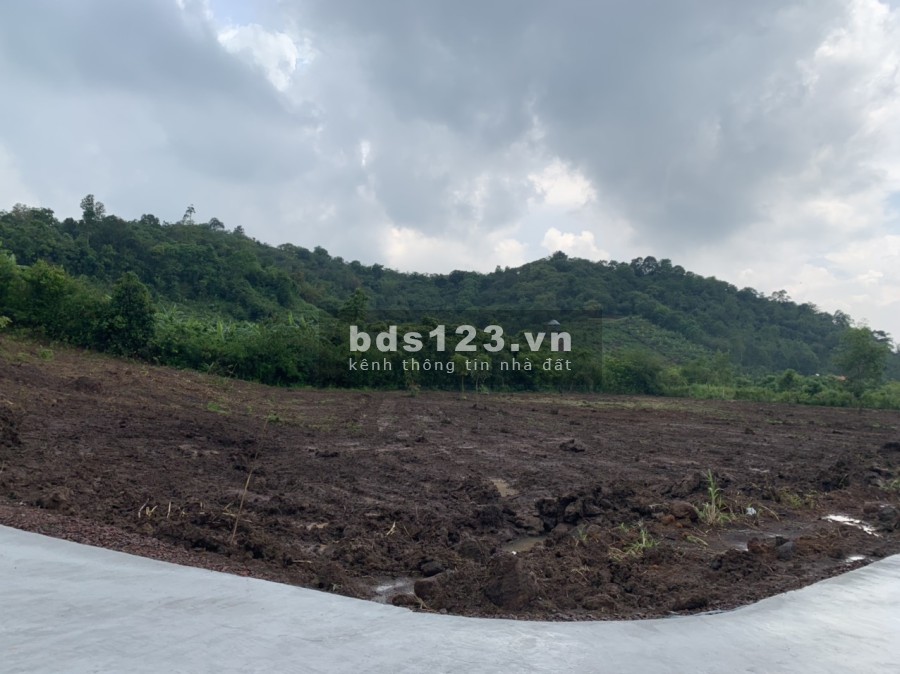 Đất vườn Phủ Hồng ngay thành phố Long Khánh, Đồng Nai, giá…