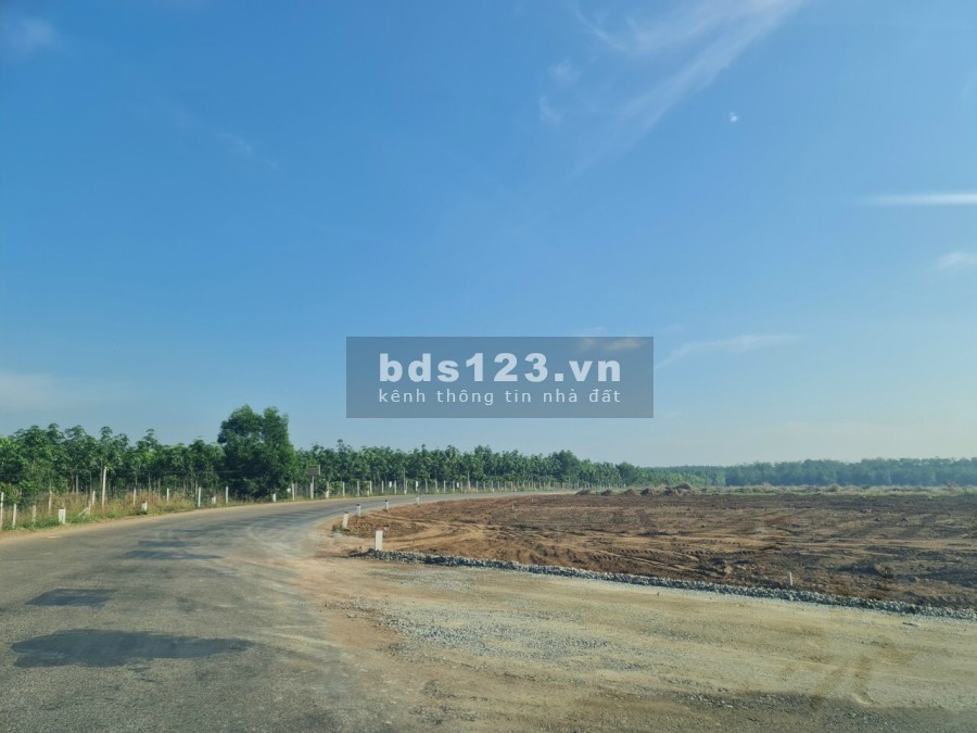 Nợ Ngân Hàng cần bán gấp đất 12x90m2 để trả nợ, đất vuông đẹp, sổ hồng riêng