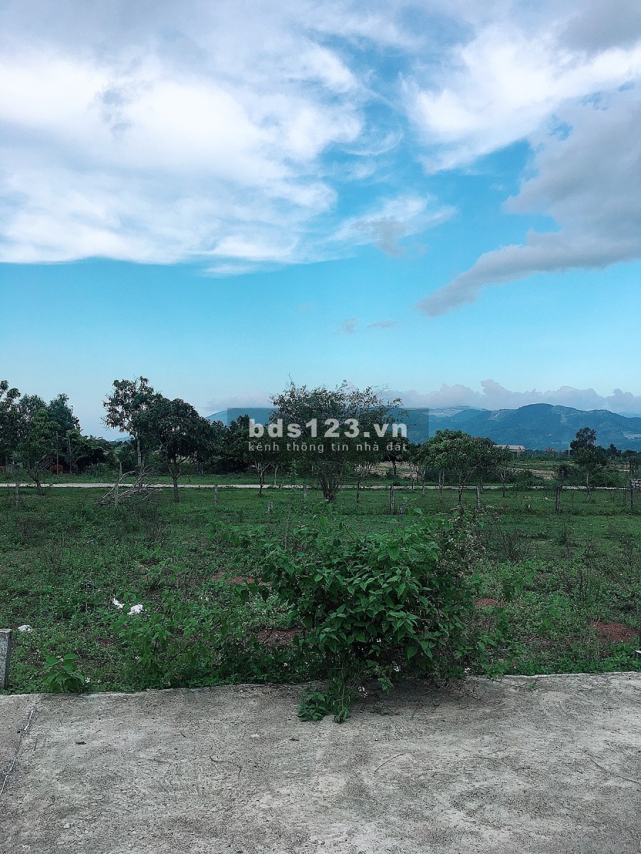 Cần ra đi nhanh đất Bình Lộc giá đổ nợ đầu tư sinh lời, bàn giao đầy đủ giấy tờ