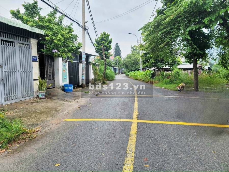 Do kẹt tiền nên cần bán gấp lô đất lọt khe 62m2, giá 1 tỷ 350 ở Thới Tam Thôn, Hóc Môn. SHR