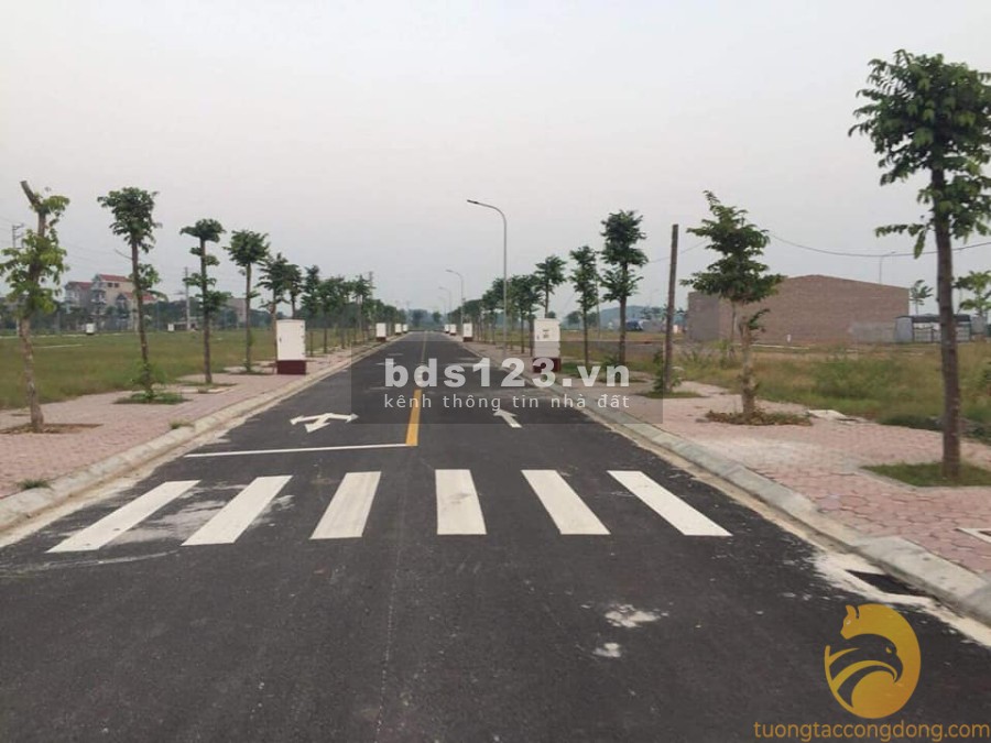 Khu đô thị Dĩnh Trì Quảng Trường thứ 2 của Bắc Giang cơ hội vàng cho các nhà đầu tư