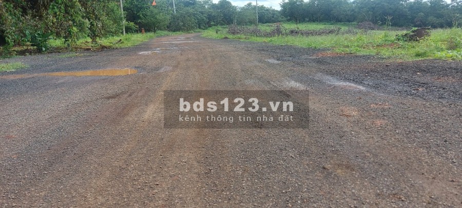 Bù Đăng đất diện tích 5x50m, thổ cư 100m2 giá từ 600tr đường ĐT 755 nhựa 18m
