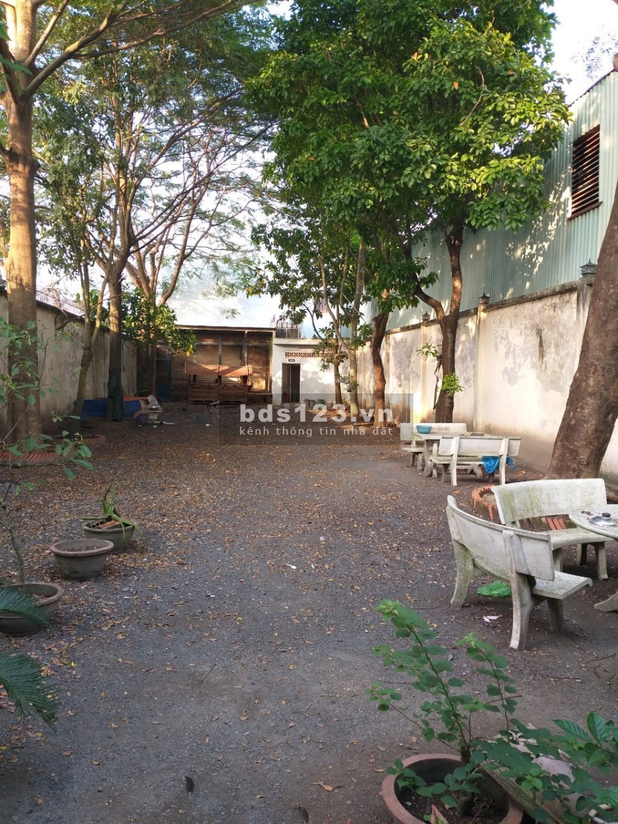 Cho thuê kho xưởng diện tích 2500m2 đường Tỉnh Lộ 10, Phạm Văn Hai, Bình Chánh, TP HCM