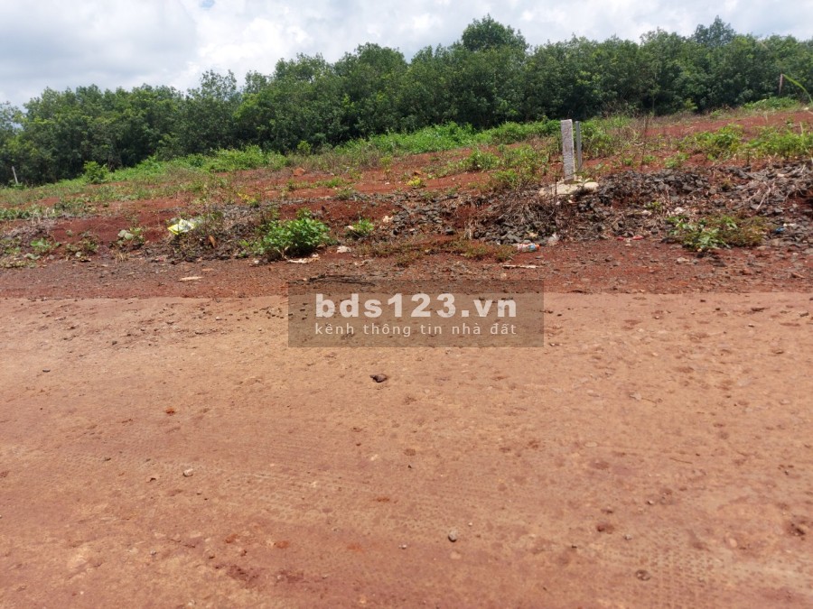 Kẹt tiền bán gấp đất Bù Đăng 250m2́́́́ (5x50)/ 559tr, 100m2 thổ cư, MT đường 18m, cách DT755 100m